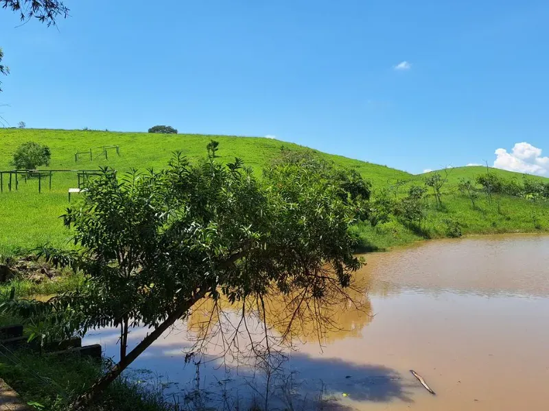 Fazenda em Cachoeira Paulista/São Paulo — Ref 6JAF75 — Imagem 34