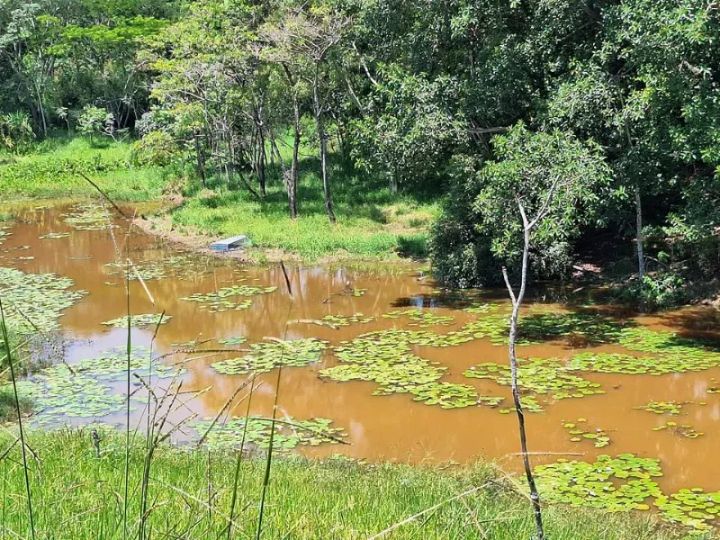 Fazenda em Cachoeira Paulista/São Paulo — Ref 6JAF75 — Imagem 40