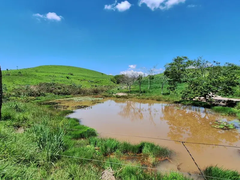 Fazenda em Cachoeira Paulista/São Paulo — Ref 6JAF75 — Imagem 41
