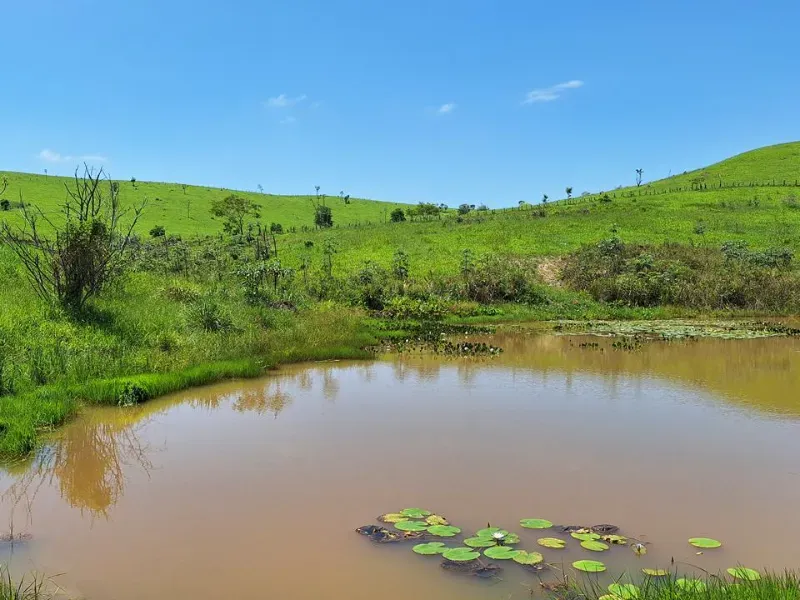 Fazenda em Cachoeira Paulista/São Paulo — Ref 6JAF75 — Imagem 43