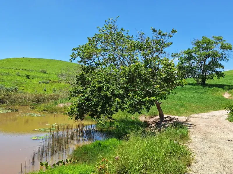 Fazenda em Cachoeira Paulista/São Paulo — Ref 6JAF75 — Imagem 44