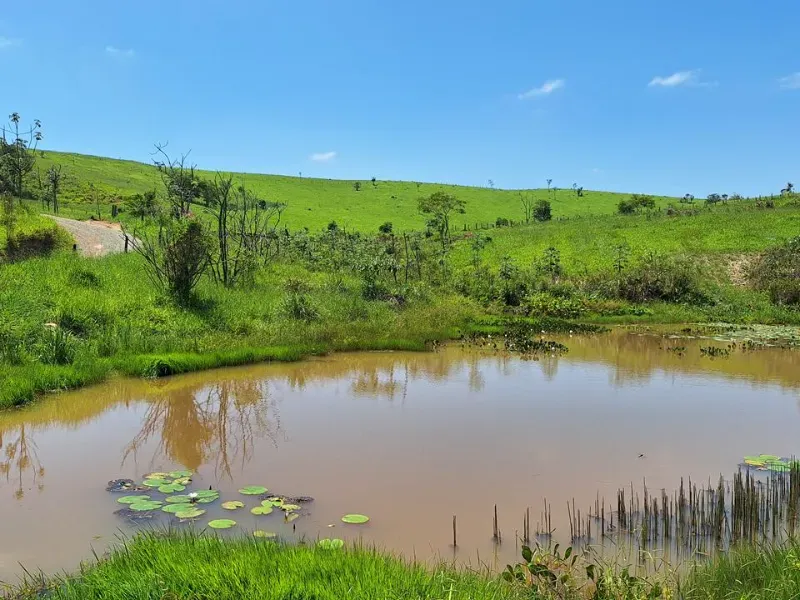 Fazenda em Cachoeira Paulista/São Paulo — Ref 6JAF75 — Imagem 46