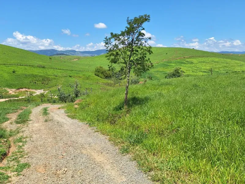 Fazenda em Cachoeira Paulista/São Paulo — Ref 6JAF75 — Imagem 47