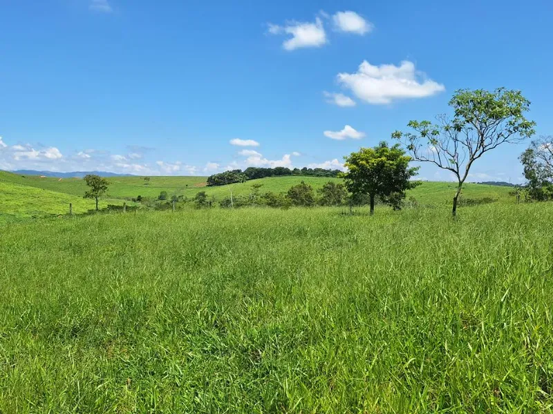 Fazenda em Cachoeira Paulista/São Paulo — Ref 6JAF75 — Imagem 48