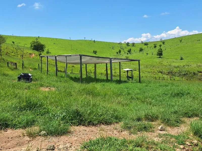 Fazenda em Cachoeira Paulista/São Paulo — Ref 6JAF75 — Imagem 50