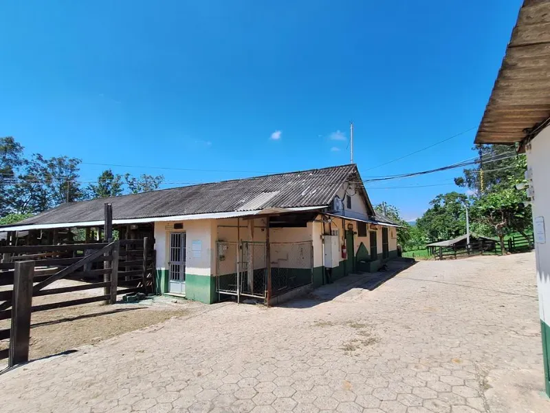 Fazenda em Cachoeira Paulista/São Paulo — Ref 6JAF75 — Imagem 54