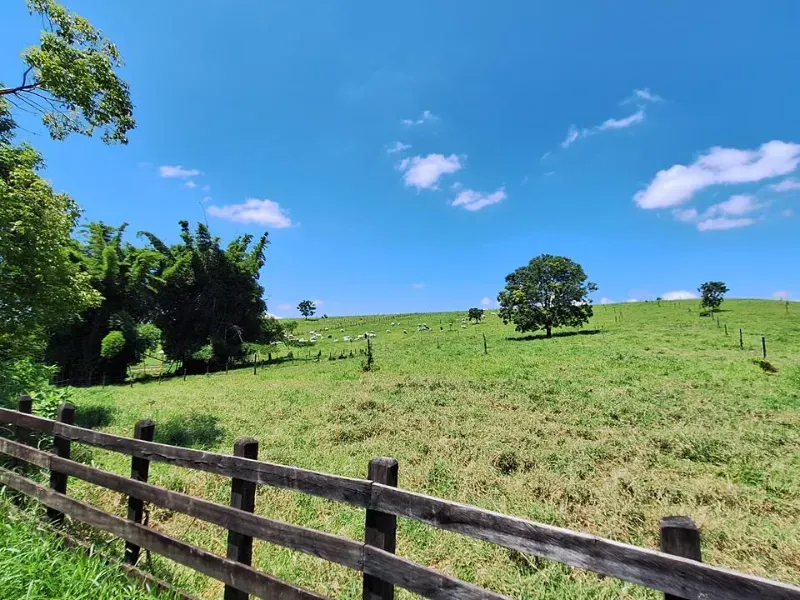 Fazenda em Cachoeira Paulista/São Paulo — Ref 6JAF75 — Imagem 73
