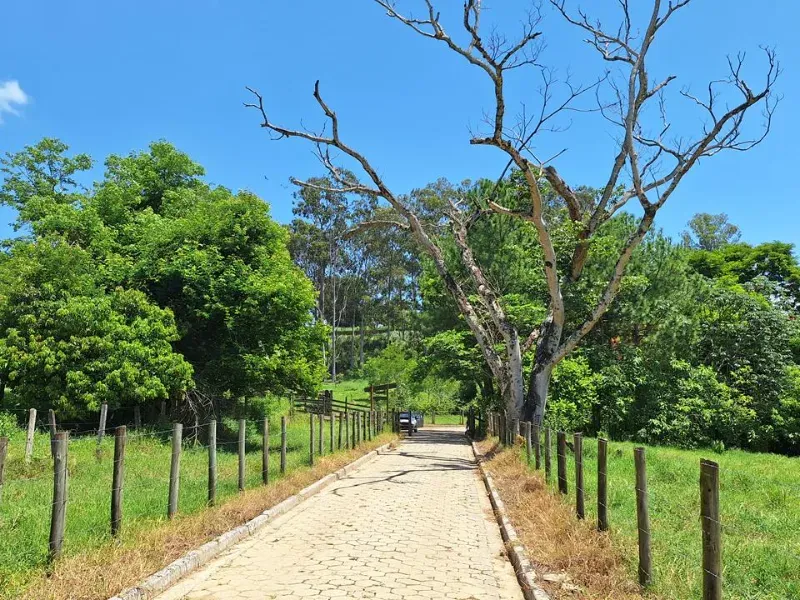 Fazenda em Cachoeira Paulista/São Paulo — Ref 6JAF75 — Imagem 75