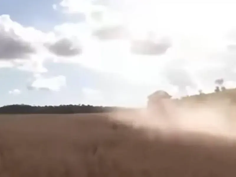 Fazenda em Caiapônia/Goiás — Ref 3O0LZE — Imagem 6