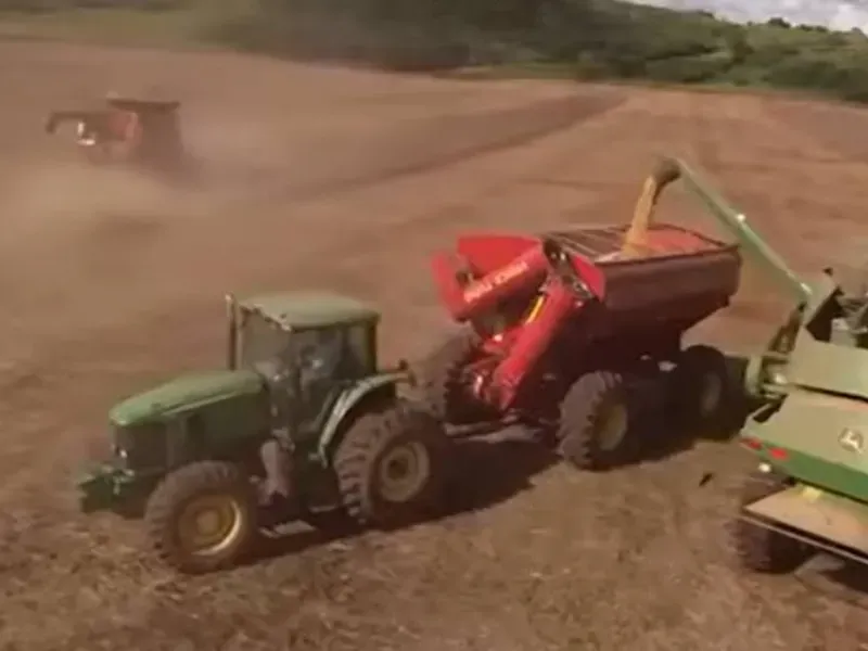 Fazenda em Caiapônia/Goiás — Ref 3O0LZE — Imagem 7