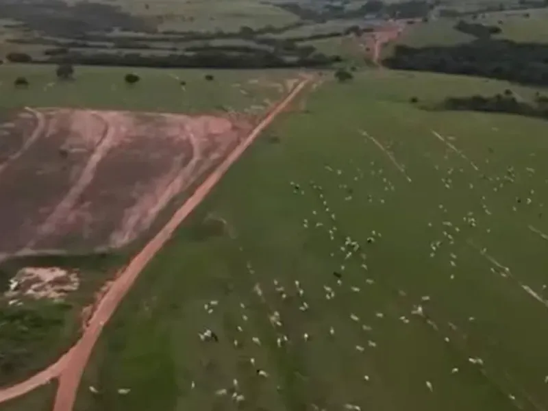 Fazenda em Caiapônia/Goiás — Ref 3O0LZE — Imagem 8