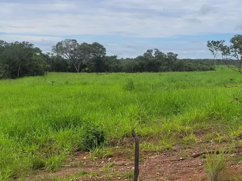 Fazenda em Paranã/Tocantins — Ref M9YQLB — Imagem 6
