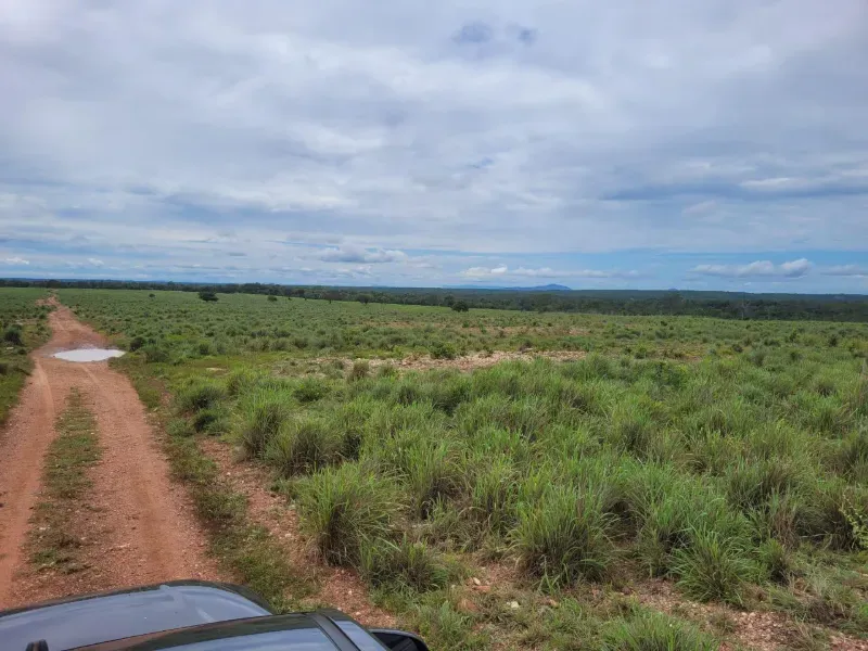 Fazenda em Paranã/Tocantins — Ref M9YQLB — Imagem 7