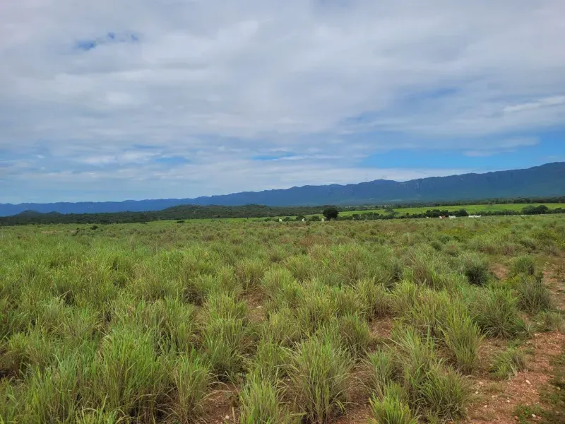 Fazenda em Paranã/Tocantins — Ref M9YQLB — Imagem 8
