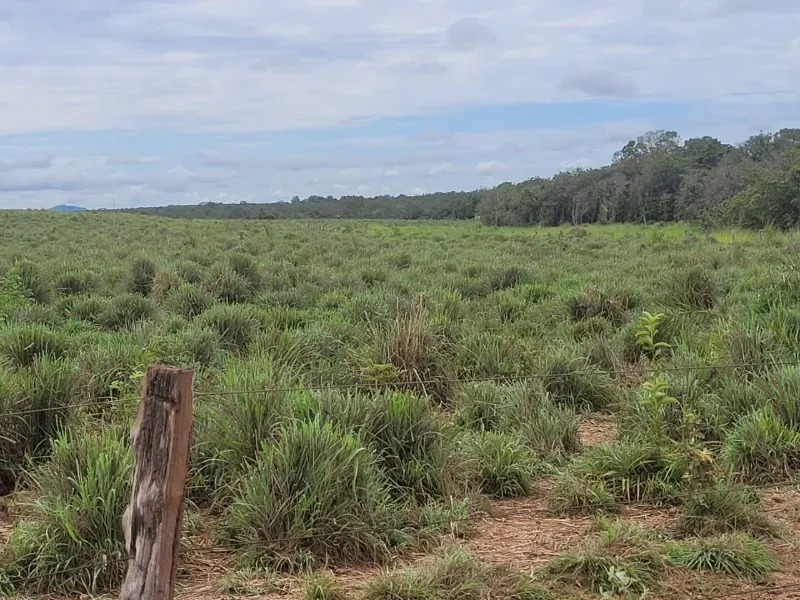 Fazenda em Paranã/Tocantins — Ref M9YQLB — Imagem 9