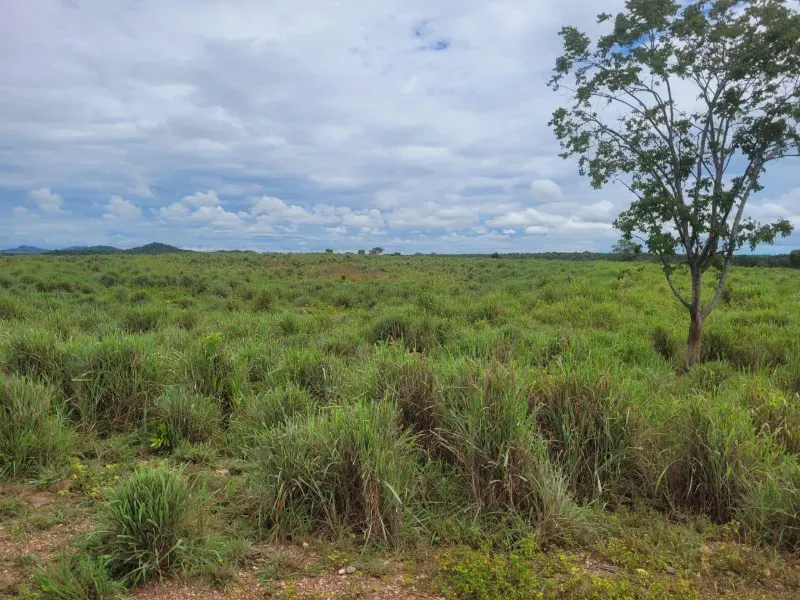 Fazenda em Paranã/Tocantins — Ref M9YQLB — Imagem 10