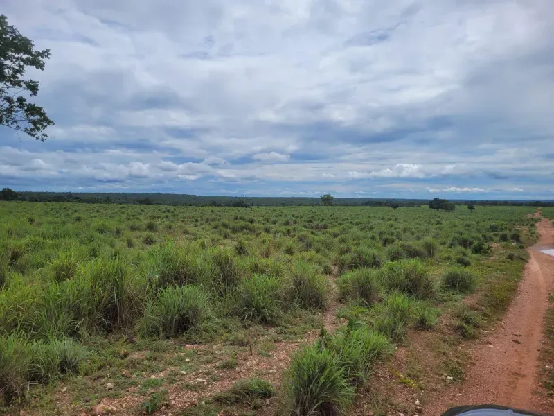 Fazenda em Paranã/Tocantins — Ref M9YQLB — Imagem 11