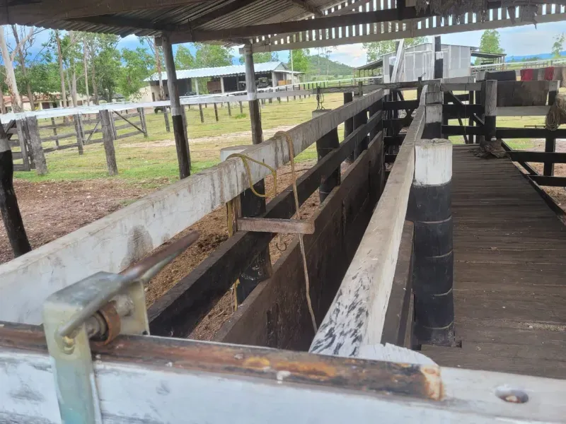 Fazenda em Paranã/Tocantins — Ref M9YQLB — Imagem 3