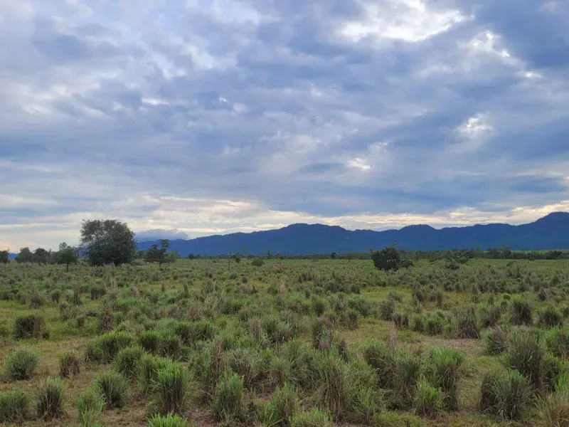 Fazenda em Paranã/Tocantins — Ref M9YQLB — Imagem 12