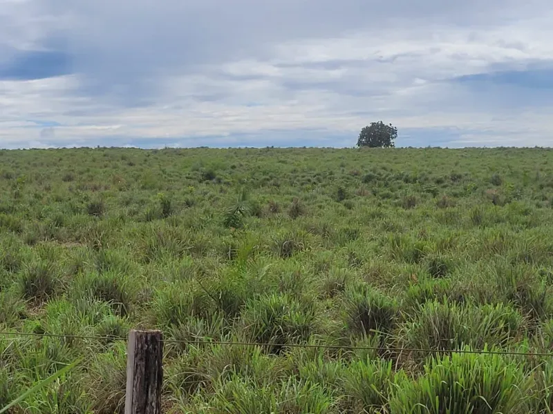 Fazenda em Paranã/Tocantins — Ref M9YQLB — Imagem 13