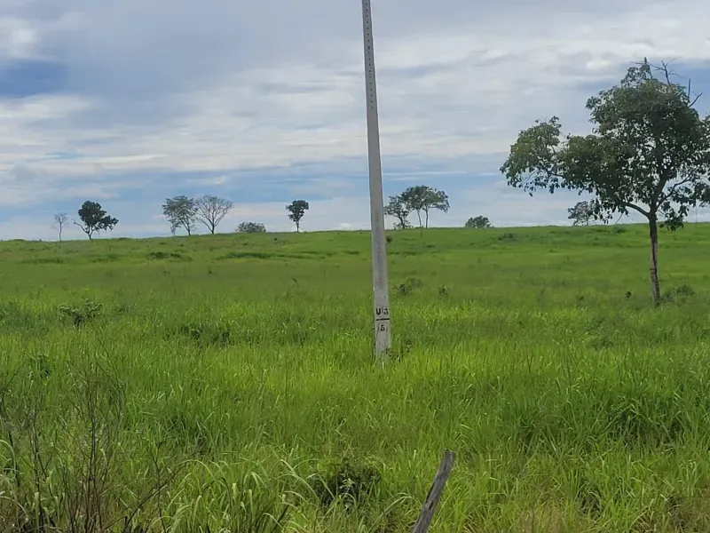 Fazenda em Paranã/Tocantins — Ref M9YQLB — Imagem 18