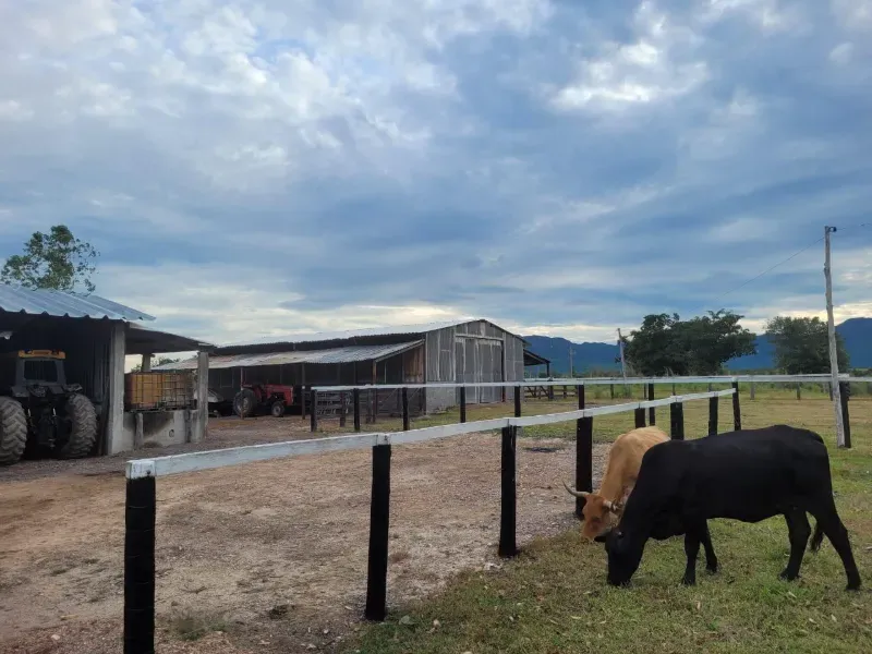 Fazenda em Paranã/Tocantins — Ref M9YQLB — Imagem 24