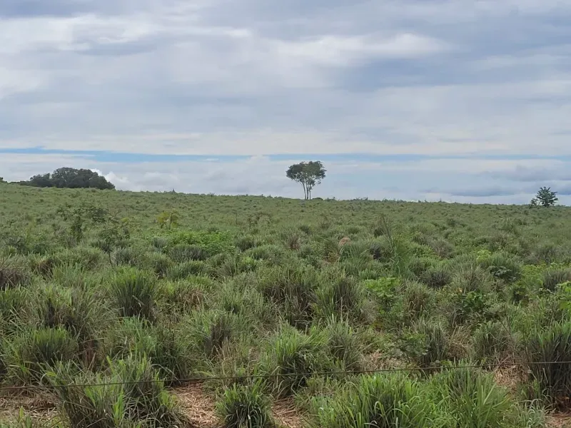 Fazenda em Paranã/Tocantins — Ref M9YQLB — Imagem 25