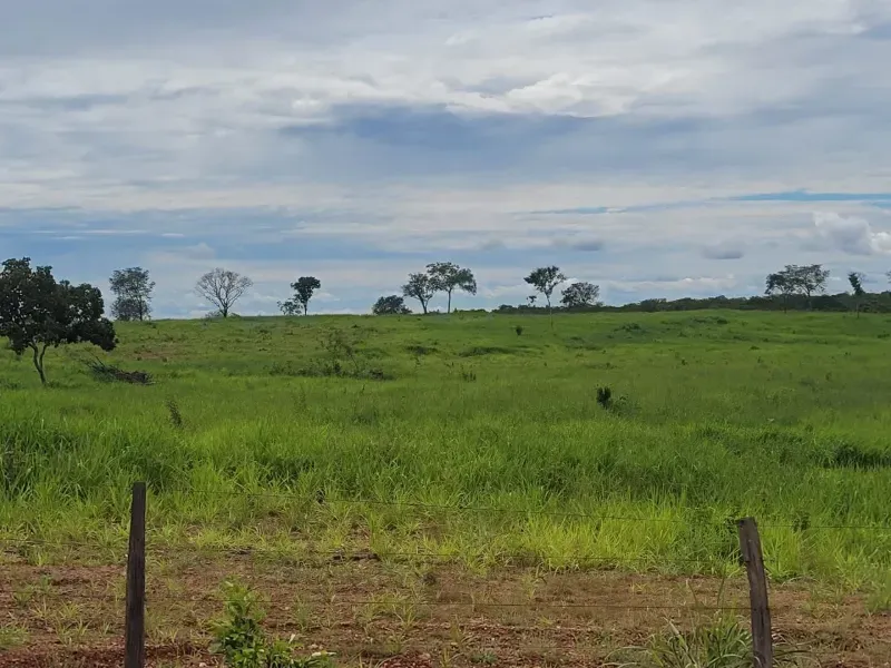 Fazenda em Paranã/Tocantins — Ref M9YQLB — Imagem 28