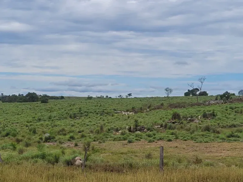 Fazenda em Paranã/Tocantins — Ref M9YQLB — Imagem 30