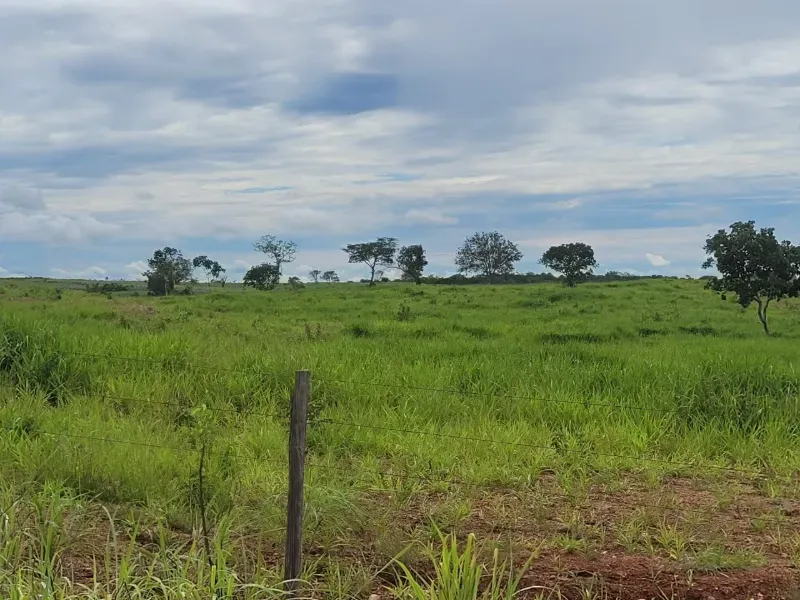 Fazenda em Paranã/Tocantins — Ref M9YQLB — Imagem 32