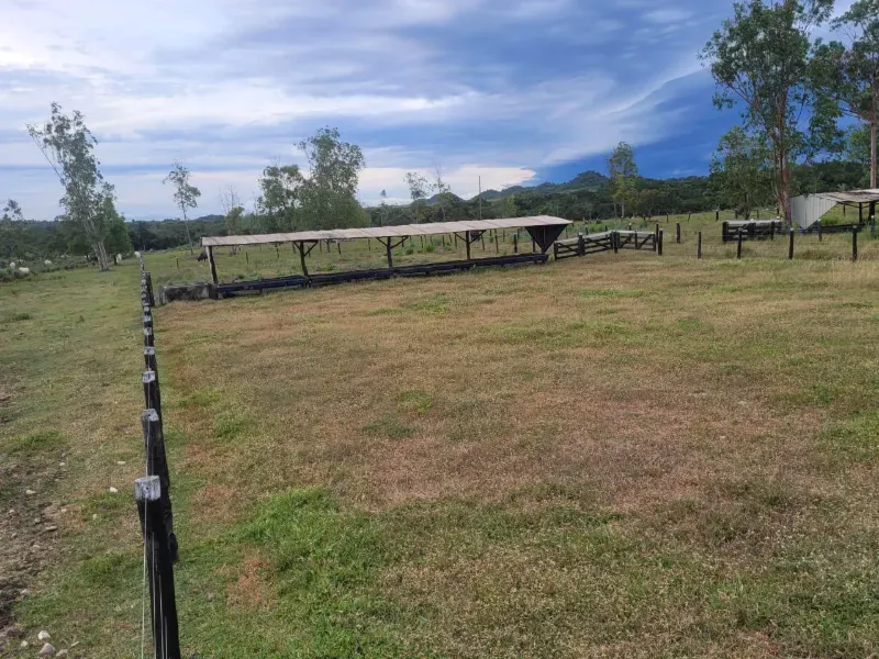 Fazenda em Paranã/Tocantins — Ref M9YQLB — Imagem 33