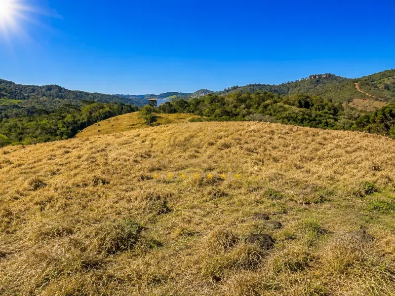 Fazenda em Campo Largo/Paraná — Ref Z44Q22 — Imagem 13