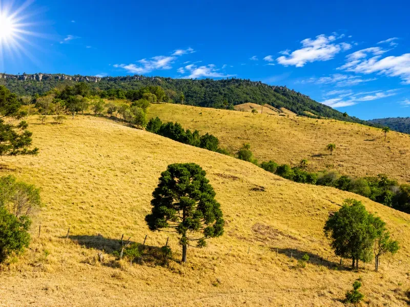 Fazenda em Campo Largo/Paraná — Ref Z44Q22 — Imagem 11