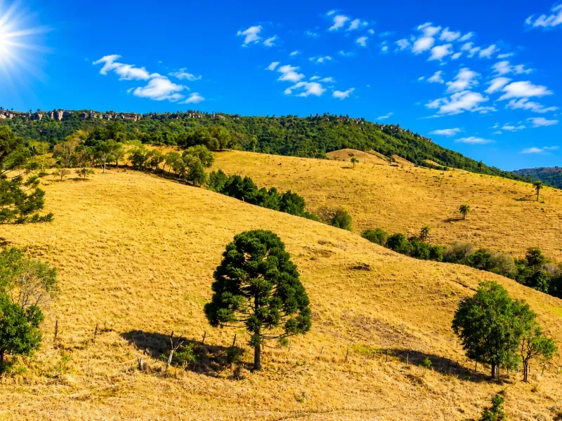 Fazenda em Campo Largo/Paraná — Ref Z44Q22 — Imagem 7