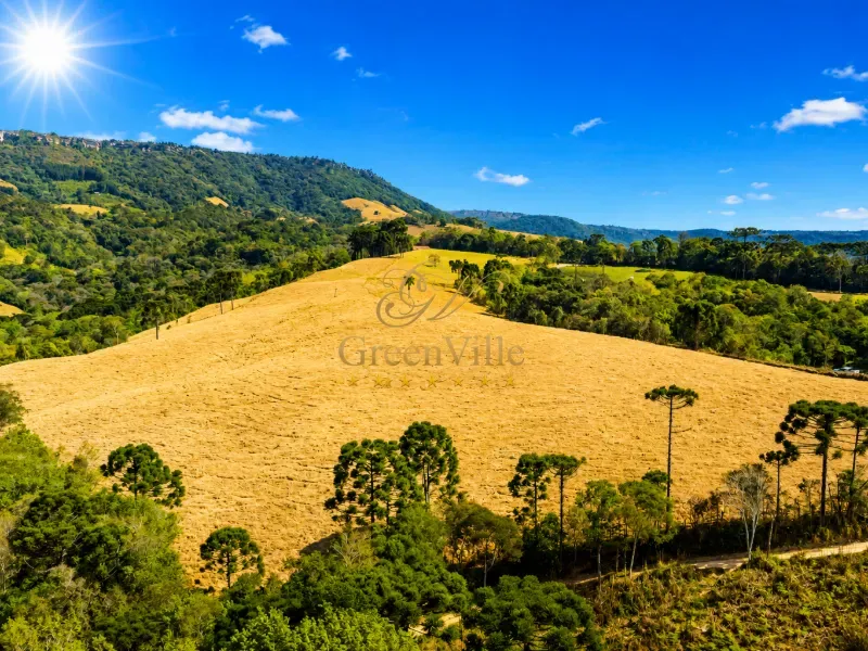 Fazenda em Campo Largo/Paraná — Ref Z44Q22 — Imagem 14