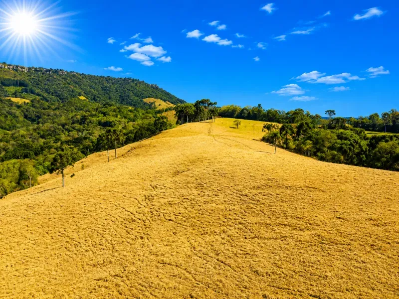 Fazenda em Campo Largo/Paraná — Ref Z44Q22 — Imagem 9