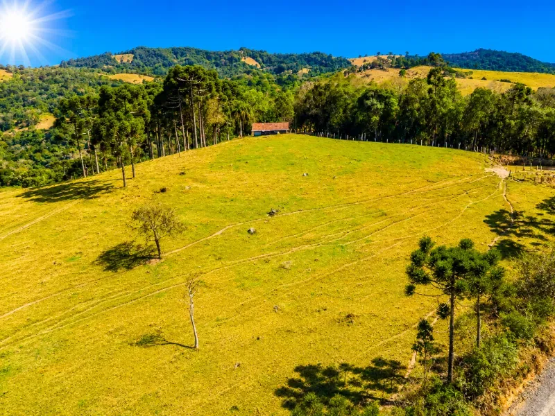 Fazenda em Campo Largo/Paraná — Ref Z44Q22 — Imagem 12