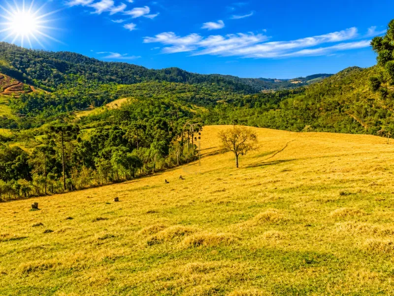 Fazenda em Campo Largo/Paraná — Ref Z44Q22 — Imagem 15