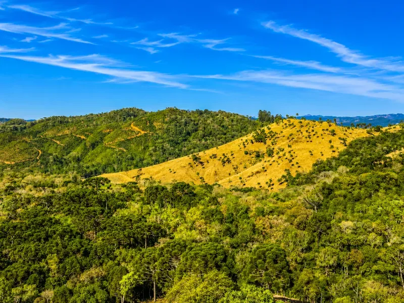 Fazenda em Campo Largo/Paraná — Ref Z44Q22 — Imagem 18