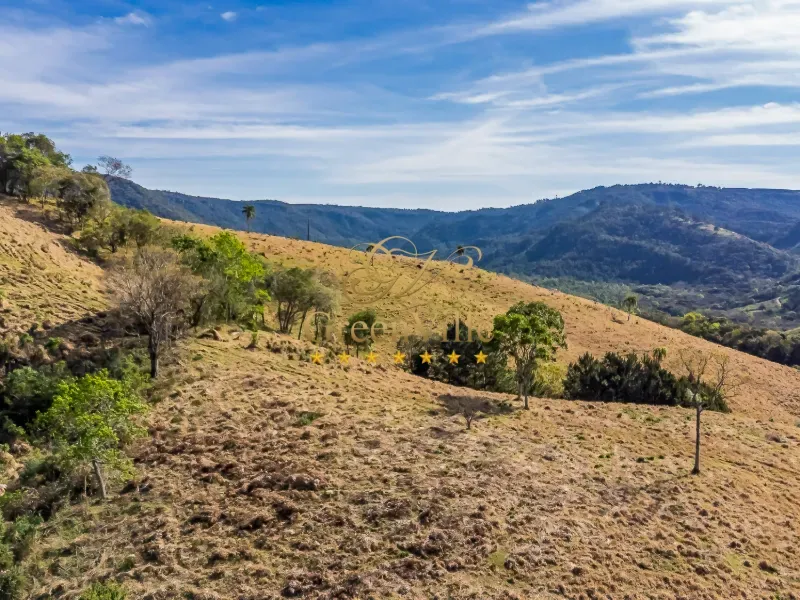Fazenda em Campo Largo/Paraná — Ref Z44Q22 — Imagem 23