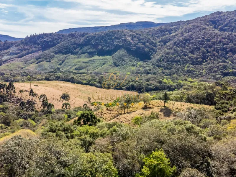 Fazenda em Campo Largo/Paraná — Ref Z44Q22 — Imagem 25