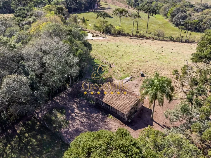 Fazenda em Campo Largo/Paraná — Ref Z44Q22 — Imagem 26