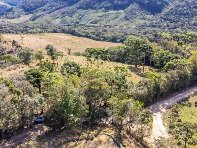 Fazenda em Campo Largo/Paraná — Ref Z44Q22 — Imagem 27