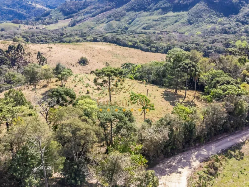 Fazenda em Campo Largo/Paraná — Ref Z44Q22 — Imagem 28
