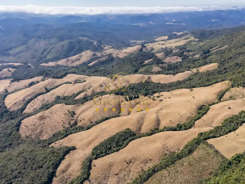 Fazenda em Campo Largo/Paraná — Ref Z44Q22 — Imagem 24