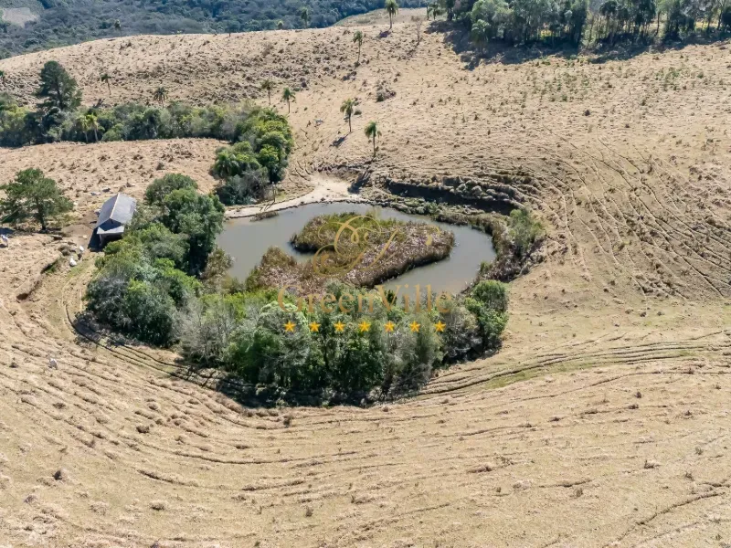 Fazenda em Campo Largo/Paraná — Ref Z44Q22 — Imagem 19