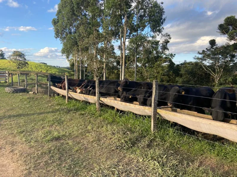 Imóvel rural em Cândido de Abreu/Paraná — Ref W4OYUU1