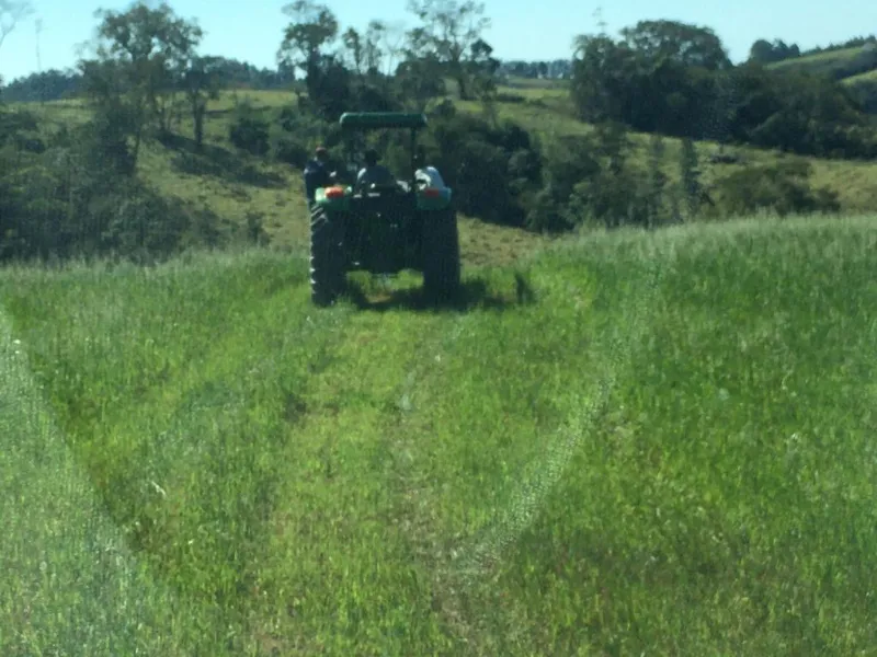 Fazenda em Cândido de Abreu/Paraná — Ref W4OYUU — Imagem 5