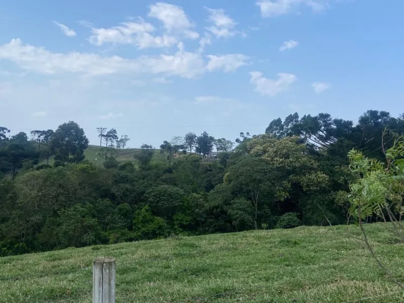 Fazenda em Cândido de Abreu/Paraná — Ref W4OYUU — Imagem 11