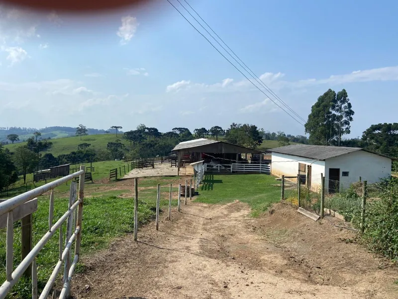 Fazenda em Cândido de Abreu/Paraná — Ref W4OYUU — Imagem 12